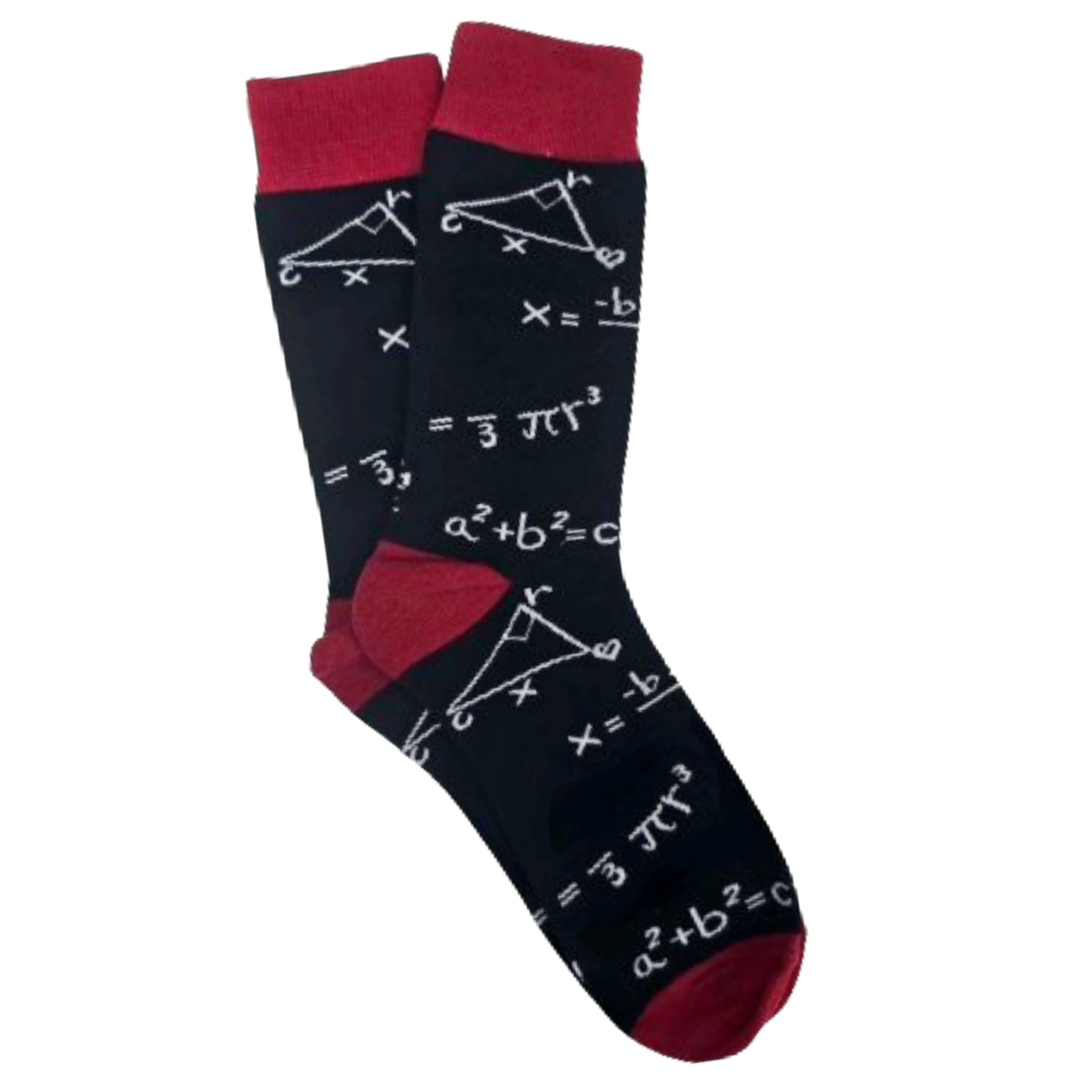 Math Socks from the Sock Panda (Adult Large - Men's Shoe Sizes 8-12)