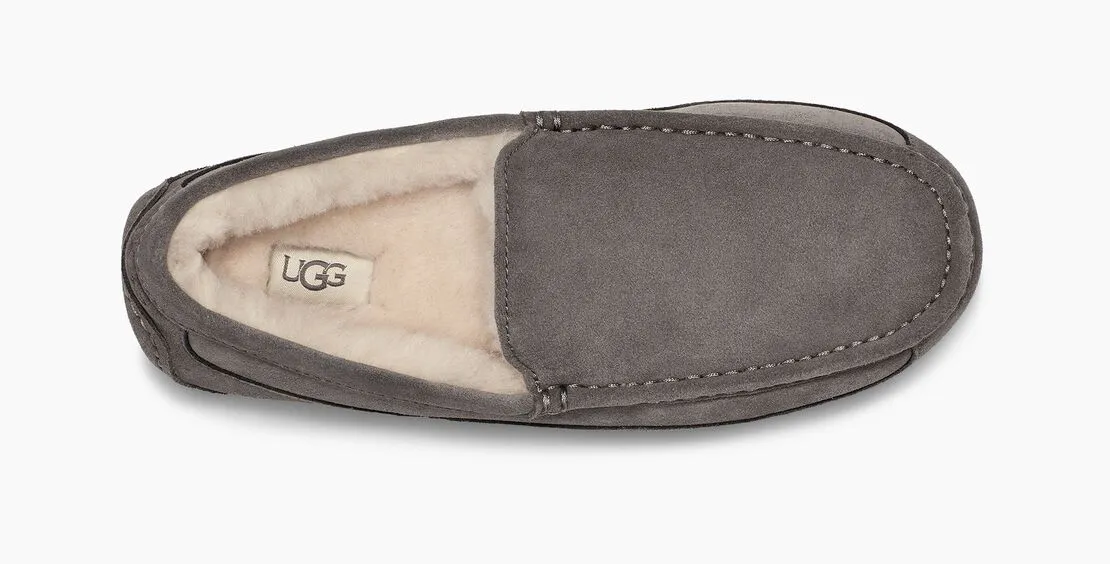 UGG Ascot