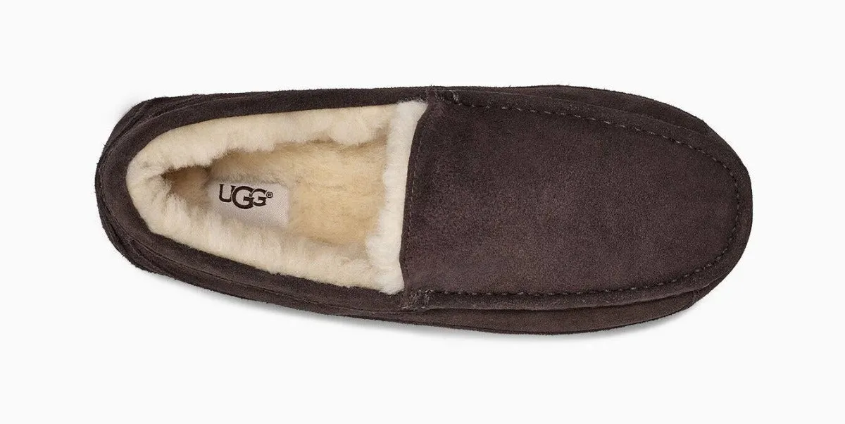 UGG Ascot