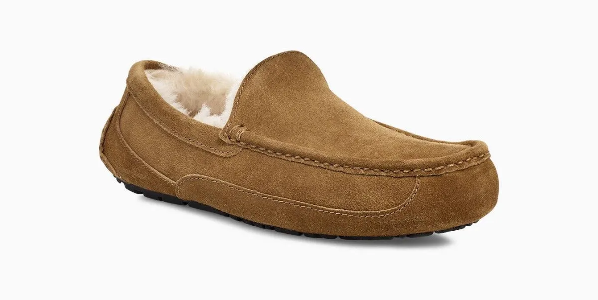 UGG Ascot