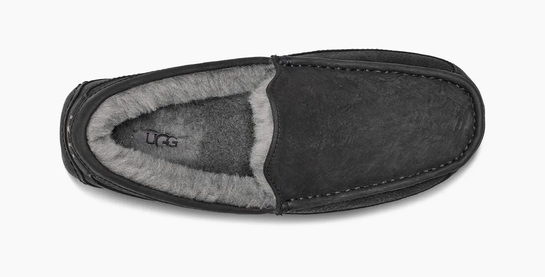 UGG Ascot