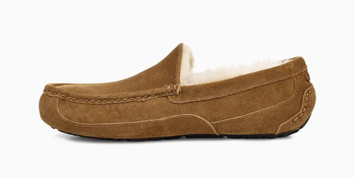 UGG Ascot