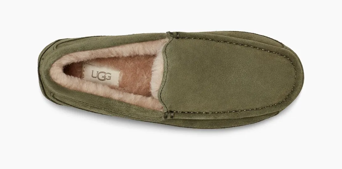 UGG Ascot