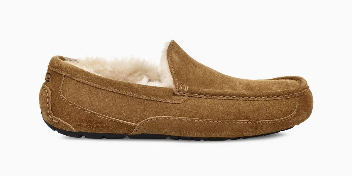 UGG Ascot